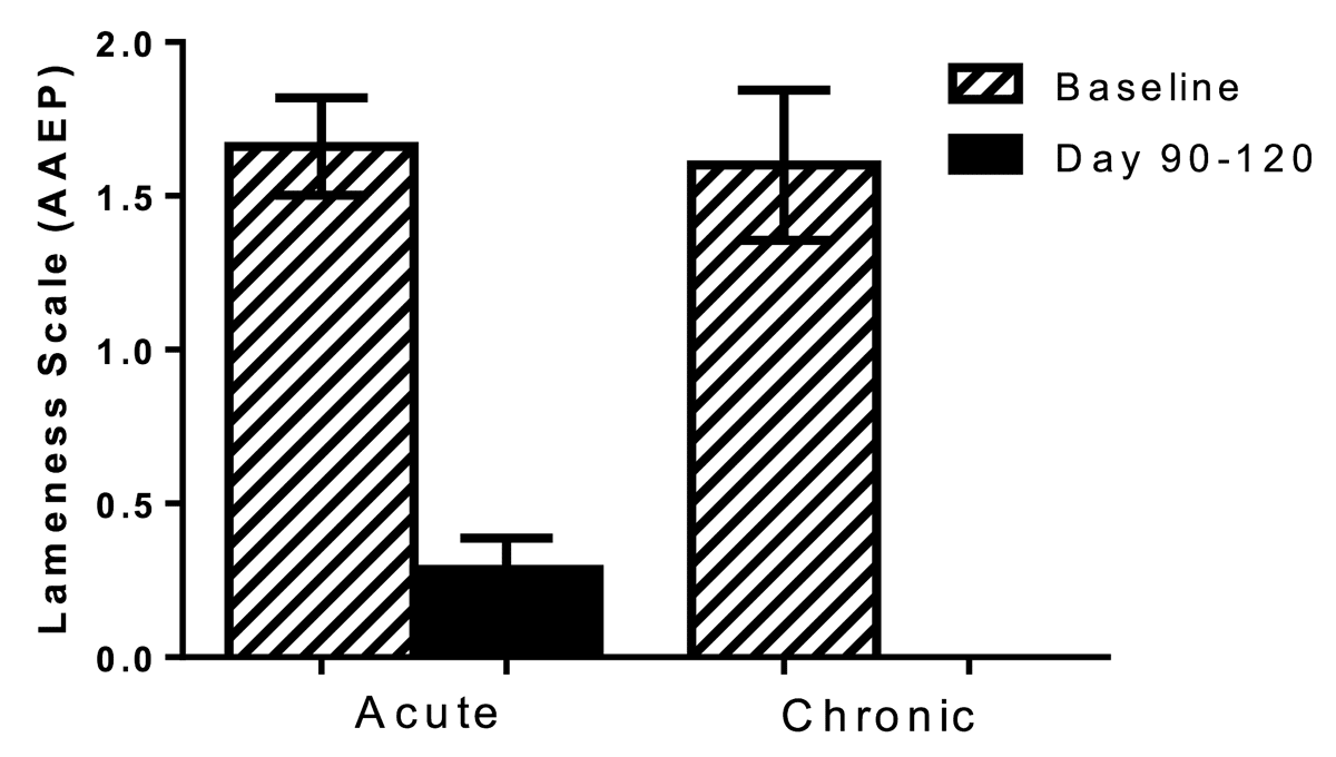 Figure 1 Lameness Scale